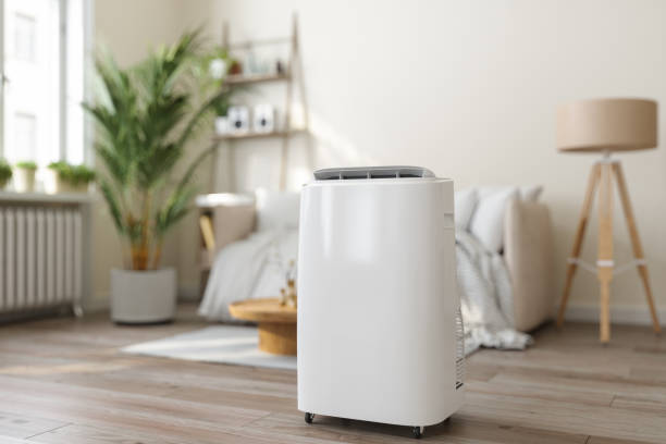 Best HVAC Air Duct Cleaning  in North Wantagh, NY